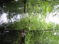 IMG 0016 001