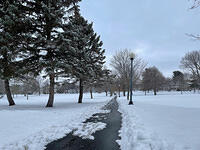 IMG 6374
