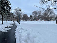 IMG 6378