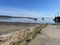 IMG 6641