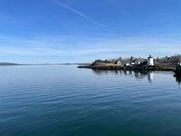 IMG 6646