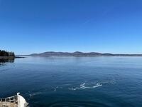 IMG 6651