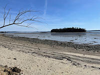IMG 6653