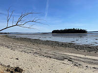 IMG 6654