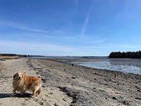 IMG 6658