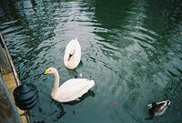 001427 R1 016 6A